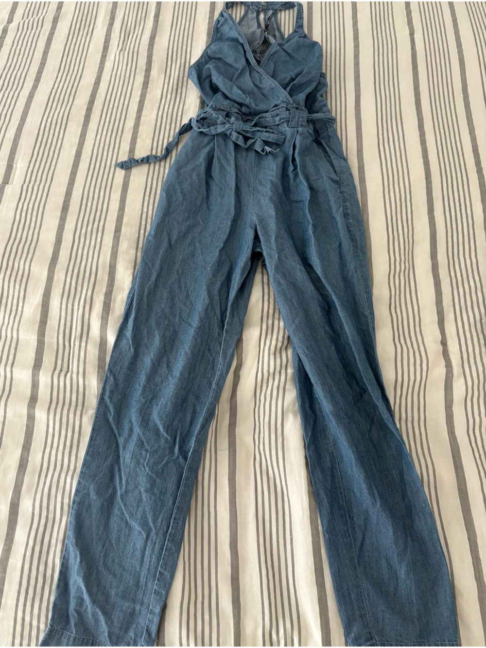 Express Blue Denim Jumpsuit
